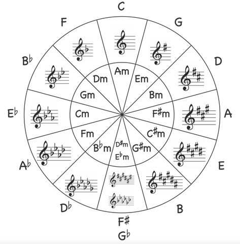 Guitar Tricks, Diatonic Scale, Learn Music Theory, Music Rules, What Is The Point, Printable Circles, Minor Scale, Circle Of Fifths, Piano Music Lessons