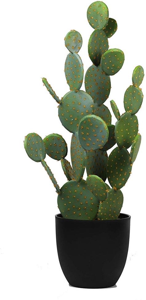 Fake Cactus Plants, Fake Cactus, Artificial Cactus, Faux Cactus, Plastic Planter, Fake Succulents, Pear Cactus, Cactus Desert, Cactus Pot