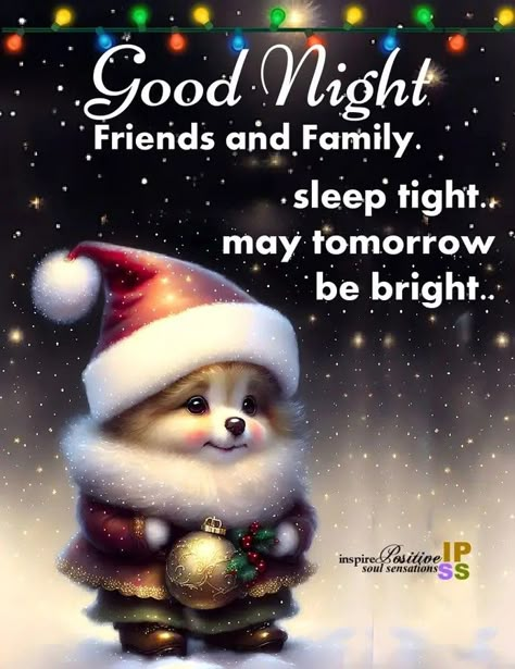 Good Night Christmas, Good Night Cat, Winter Christmas Scenes, Good Night Funny, I Love You Images, Night Friends, Xmas Wishes, Good Night Love Images, Night Christmas