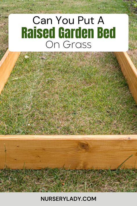 Discover the best practices for placing a raised garden bed on grass while avoiding common mistakes! This guide covers essential tips to ensure your indoor houseplant garden thrives. Learn how to prepare the ground, choose the right location, and maintain healthy soil for your indoor houseplants. Transform your space with beautiful greenery and maximize your gardening success! Perfect for indoor houseplant enthusiasts looking to expand their green thumb. Raised Garden Bed Pathways, Fairy Tips, Making Raised Beds, Raised Bed Gardening, Building Raised Beds, Healthy Soil, Raised Bed Garden, Bermuda Grass, Growing Grass