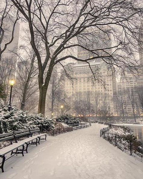 ℛ. on Twitter: "Winter>>>Autumn… " New York Central, I Love Winter, New York Aesthetic, Winter Scenery, Winter Pictures, Winter Wonder, Best Seasons, Pretty Stuff, City Living