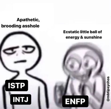 Enfp X Intp, Intj Enfp, Mbti Test, Myers Briggs Personality Test, Enfp Personality, Intj T, Intp Personality Type, Intp T, Mbti Memes