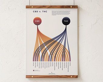 Data visualization | Etsy Medical Symptoms, Modern Infographic, Comparison Chart, Medical Office, Science Facts, Data Visualization, Among Us, Infographic Design, Custom Items