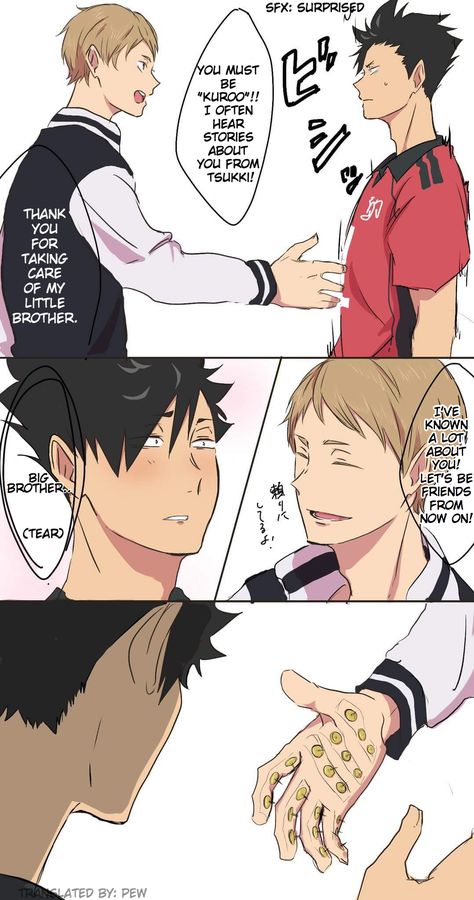 Haruichi Furudate, Haikyuu Meme, Haikyuu Volleyball, Tsukishima Kei, Kuroo Tetsurou, 강아지 그림, Haikyuu Kageyama, Haikyuu Funny, Haikyuu Ships