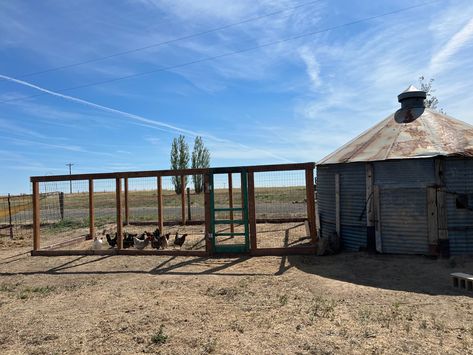 Grain Bin Chicken Coop Ideas, Silo Chicken Coop Ideas, Silo Chicken Coop, Chicken Coop Silo, Grain Bin Chicken Coop, Grain Silo Chicken Coop, Silo Chicken Coop Hen House, Grain Bin Chicken Coop Silo House, Dog Kennel And Run