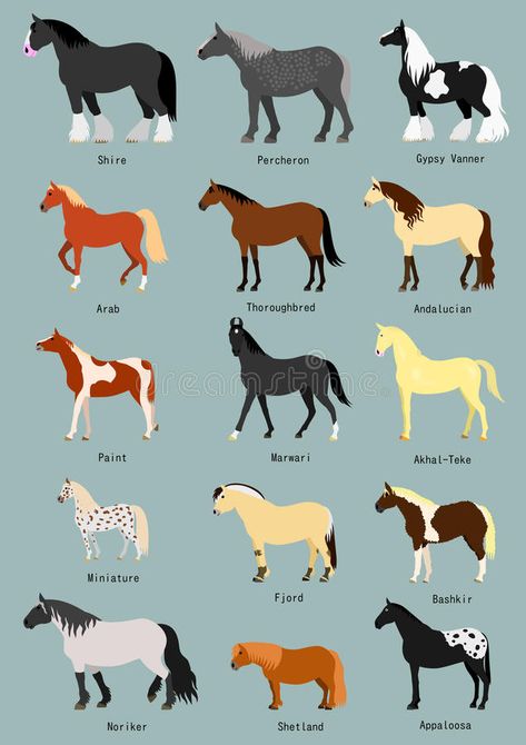 Horse breeds set. With breed name #Sponsored , #AFFILIATE, #SPONSORED, #Horse, #set, #breed, #breeds All Horse Breeds, Cavalier King Charles Spaniel Puppy, King Charles Spaniel Puppy, Charles Spaniel Puppy, Different Horse Breeds, Horse Markings, Horse Coat Colors, Indian Horses, Horse Facts