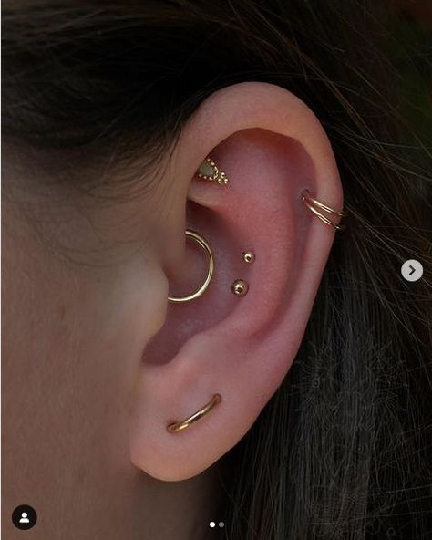 Cofc Dorm, Double Conch, Orbital Piercing, Ear Curation, Ear Peircings, Ear Cuff Piercing, Cool Ear Piercings, Cool Piercings, Cute Ear Piercings