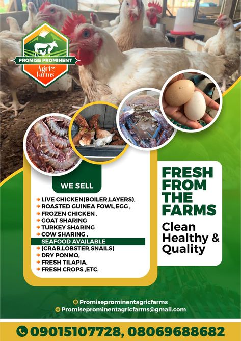 Farm Flyer Design, Poultry Farm Design, Chicken Processing, Flex Banner Design, Gold Design Background, Farm Plans, Flyers Design, Business Poster, Project Work