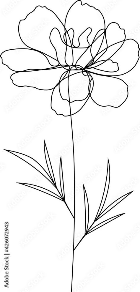 Download Continuous line marigold floral drawing, October birth flower, vector (Tagetes) Daisy family Stock Vector and explore similar vectors at Adobe Stock. One Line Floral Drawing, Marigold Simple Drawing, Daisy Tattoo One Line, Daisy Flower Line Art, October Flower Drawing, Marigold Line Tattoo, One Line Marigold Tattoo, Marigold Flower Sketch, Stencil Flower Tattoo