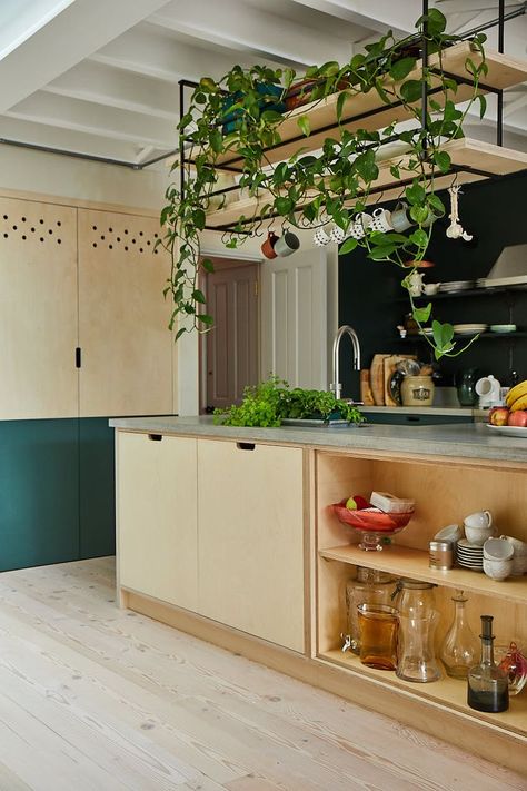 Hanging Kitchen Shelves, Hanging Shelf Kitchen, Ceiling Shelves, Plywood Kitchen, Quirky Kitchen, Kitchen Plants, Estantes Flotantes, Room With Plants, Kitchen Units