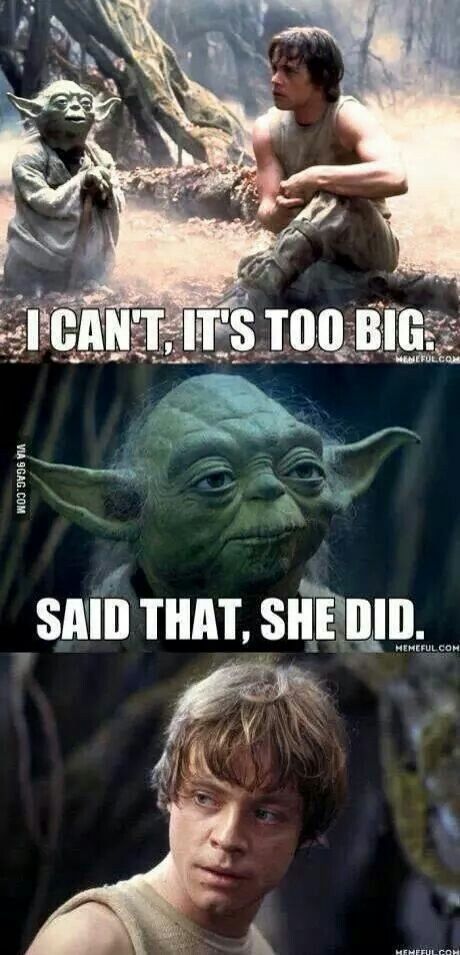 Star Wars Jokes, 웃긴 사진, Funny Bunnies, Star Wars Humor, Star Wars Memes, Chewbacca, Boba Fett, She Said, Bones Funny