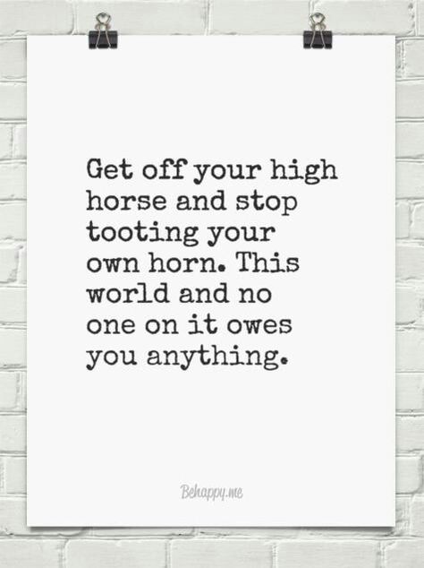 Get off your high horse High Horse Quotes, Horse Quotes Funny, Hug Quotes, High Horse, Idioms And Phrases, Unhealthy Relationships, I Hate People, Horse Quotes, Old Quotes