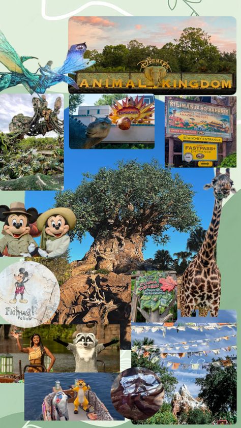 Animal Kingdom 🦒🐘 #disney #disneyparks #disneyworld #disneyaesthetic #animalkingdom #disneywallpaper #waltdisneyworld Animal Kingdom Aesthetic, Animal Kingdom Wallpaper, Kingdom Wallpaper, Kingdom Keepers, Disney World Aesthetic, Disney Characters Wallpaper, Disney Wallpapers, Life Vision, Disney Things