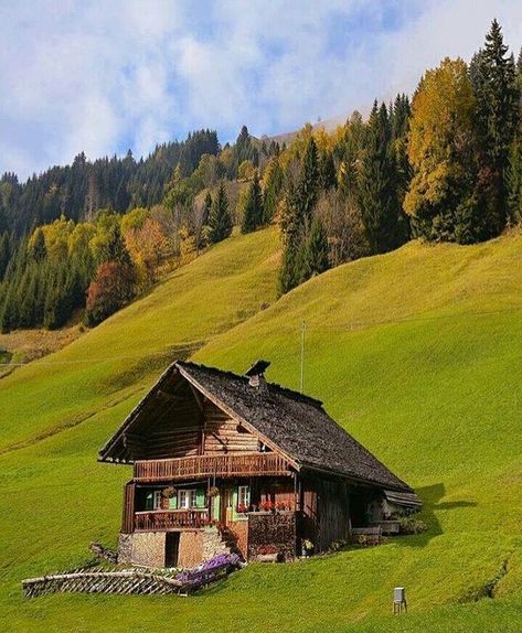 Swiss Alps House, Alps Cabin, Swiss Cabin, Chalet Plans, European Houses, House Sculpture, Swiss Cottage, Swiss Chalet, Barn Dance