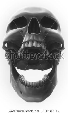 Cool graphic detailed grey human skull with open mouth on white background Monster Open Mouth, Skull With Open Mouth, Skull Open Mouth, Open Mouth Drawing, Skull Side View, Screaming Drawing, Turtle Stuff, Side View Drawing, Tshirt Graphics