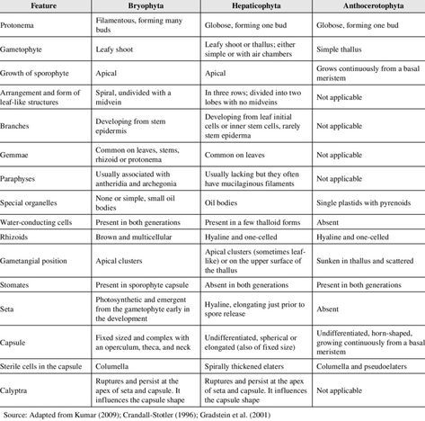 Bryophytes Bryophytes Notes, Nature Guide, Plant Kingdom, Cell Cycle, Study Flashcards, School Notes, General Knowledge, Botany, Biology