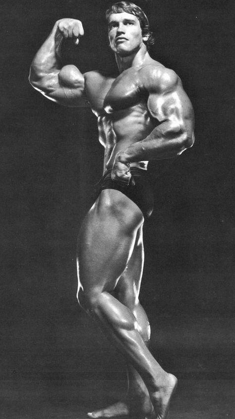 Arnold Schwarzenegger Body, Arnold Wallpaper, Arnold Schwarzenegger Gym, Arnold Schwarzenegger Muscle, Arnold Workout, Arnold Bodybuilding, Fade Haircut Curly Hair, Arnold Schwarzenegger Bodybuilding, Schwarzenegger Bodybuilding