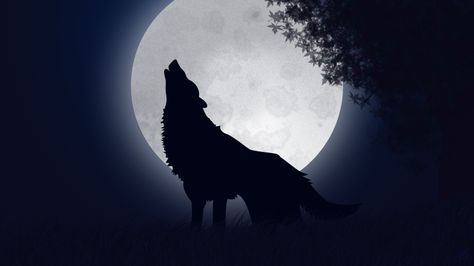 loup hurle soir pleine lune illustration foret nuit noire Wolf Wallpaper, Good Healthy Snacks, Sleeping Through The Night, Fun Kids Food, Healthy Snacks For Kids, I Wallpaper, Anime Naruto, Wolves, Good Night