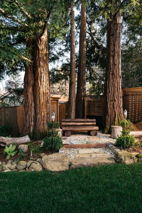 Rustic Landscape Design, Perfect for a Cabin Setting! #cabin #rustic #cabinideas #logcabin #Mountainhome #mountaincabin Mountain Cabin Exterior, Cabin Backyard, Rustic Deck, Diy Log Cabin, Rustic Landscaping, Rustic Landscape, Wooded Landscaping, Rustic Porch, Cabin Exterior