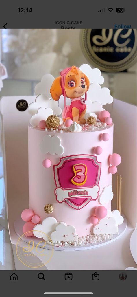 Skye Paw Patrol Cake 3rd Birthday, Pink Skye Paw Patrol Cake, Skye Paw Patrol Cake Diy, Sky Birthday Party Paw Patrol Cake, Girly Paw Patrol Cake, Sky Paw Patrol Cake Ideas, Paw Patrol Birthday Cake Skye, Cake Patrol Paw, Skye Paw Patrol Birthday Cake