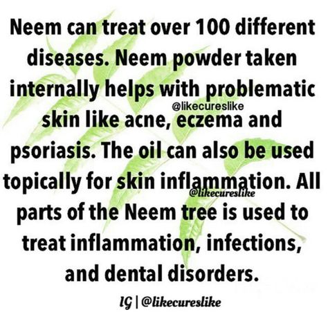 Benefits of neem Neem Powder Benefits, Neem Oil Benefits, Benefits Of Neem, Neem Powder, Nails Health, Natural Skin Care Remedies, Organic Remedy, Spiritual Cleansing, Herbs For Health