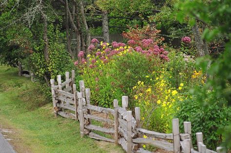 Photo courtesy of: Southern Fences    Those of you who are regular readers know that I have a love affair with fences.  Of course, do we h... Uk Plants, Garden Design Ideas Uk, Rustic Garden Fence, Rustic Fence, Natural Fence, Rustic Backyard, Flowers Growing, Plants Outdoor, Cottage Garden Design