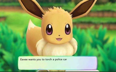 Pokemon Lets Go Eevee, Lets Go Eevee, Minecraft Rp, New Pokemon Game, Switch Games, Pokémon Art, Anything For You, Pokemon Memes, Pokemon Funny