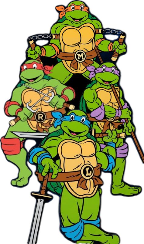 Ninja Turtles Clipart, Leo Ninja Turtle, Turtle Ninja, Ninja Turtles Birthday Party, Chic Tattoo, Sticker Design Inspiration, Casey Jones, Ninja Turtle Birthday, Teenage Mutant Ninja Turtles Art