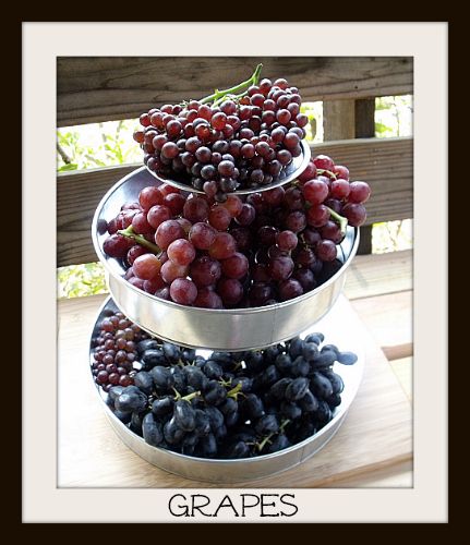 Easy Grape Jam with Only 2 Ingredients | Mama Likes To Cook Green Grapes Recipes, Grape Jam Recipe, Champagne Grapes, Grape Jam, Grape Recipes, Food Boards, Jelly Recipe, Cream Cheese Spreads, Grape Jelly