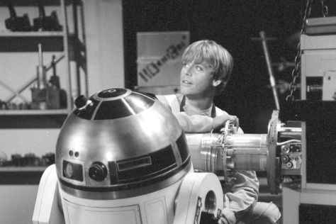 'The Star Wars Holiday Special': Alan Sepinwall Revisits the Show - Rolling Stone Star Wars Holiday Special, Harvey Korman, Carol Channing, Diahann Carroll, Star Wars Christmas, Opening Credits, Mark Hamill, Horror Show, The Empire Strikes Back