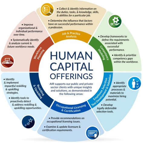 Human Capital | American Institutes for Research Job Analysis, Survey Design, Cpa Exam, Human Capital, Public Private Partnership, Employer Branding, Statistical Analysis, Work Opportunities, Communications Strategy