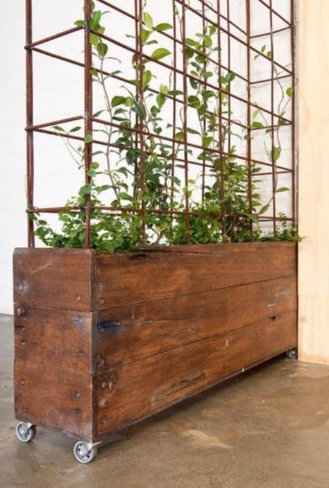 Trellis designed as a metal cage Industrial Planter, Vstupná Hala, Wind Break, Wooden Planter, Pallet Planter, Plants Growing, Privacy Walls, Steel Planters, Garden Trellis