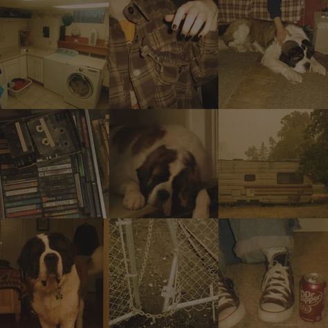 Therian Moodboard, Grunge Moodboard, Tumblr Moodboard, Moodboard Ideas, Adopt Idea, Moodboard Aesthetic, Board Inspiration, Mood Board Inspiration, Draw Something