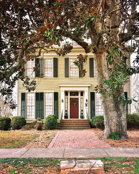 Yellow house with green shutters, southern charm, magnolia tree Yellow House With Shutters, House Shutter Colors, House With Shutters, Art Heist Baby, Curb Appeal Porch, Yellow House Exterior, Green House Exterior, Painting Shutters, Green Shutters