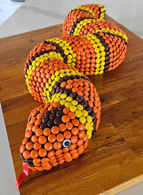 Reese Pieces, Snake Cake, Snake Cakes, Snake Birthday, Snake Party, Reptile Party, Birthday Cake Recipe, Childrens Birthday Cakes, Fun Cupcakes