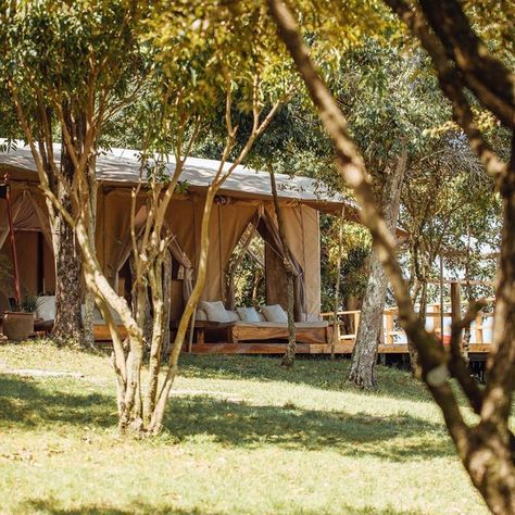 Naibor Camp on Instagram: "Through the trees is a place of peace and calm. I love the picture of the camp taken in the early morning. It’s my favourite time of day. 📸 @naiborcamp 📧 enquiries@naibor.com 📍 Maasai Mara | Kenya 🇰🇪 #sundayfunday #sundaylight #wildplaces #wild #wildnature #wildnaturephotography #wildandfree #travelgram #travelphotography #travelawesome #travelingram #travelling #travelphotography #magicalkenya #kenya" Maasai Mara Kenya, Peace And Calm, Maasai Mara, Time Of Day, Maasai, Wild Nature, Sunday Funday, Wild And Free, Early Morning