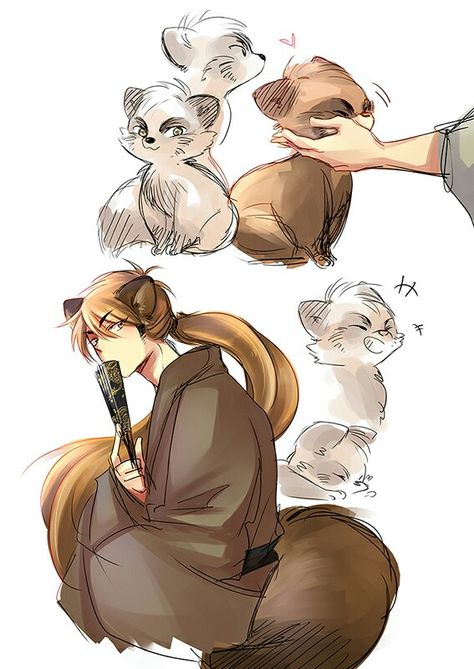 Tanuki Tanuki Character Art, Tanuki Character Design, Tanuki Drawing, Tanuki Oc, Pathfinder Witch, Tanuki Character, Tanuki Art, Dnd Characters Ideas, Anime Study