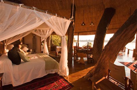 World's Best Treetop Hotels Luxury Tree Houses, Luxury Safari Lodge, Private Island Resort, Treehouse Hotel, Treehouse Cabins, Cama King Size, Safari Tent, Luxury Safari, Safari Lodge