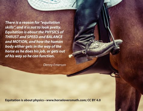 Real world math and science for horse crazy kids. https://www.horseloversmath.com Horse Show Quotes, Equestrian Memes, Equine Quotes, Pet Quotes, Equestrian Quotes, Show Quotes, Majestic Horses, Riding Tips, Horse Inspiration