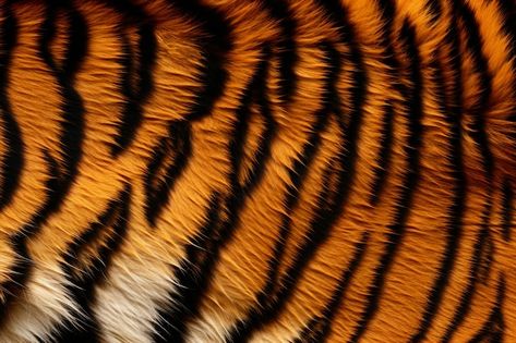 Animal Fur Texture, Tiger Texture, Animal Texture, Tiger Fur, Fur Animal, Fur Texture, Tiger Skin, Tiger Pattern, Video Mockup