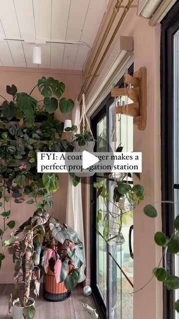 Chantel Gray | 🪴 Plants + DIY on Instagram: "I can’t believe this 🥹

If you’ve followed me for a minute you’ve seen some BEAUTIFUL planty ways you can use old coat hangers for plants! Either as a trellis, plant hanger, or propagation station, like this one!

I think one of the most eye catching ways we can display our plants are with ordinary household things!

All of this is from Amazon, and is linked in my bio under “plant essentials” or if it’s easier, you can comment those words and I’ll message them directly to you!

Can’t wait to see how you create your own!
xo - chantel

What fun things have you used for plants in your jungle home?" Plant Essentials, Macrame Knots Diy, Jungle Home, Plants Diy, Propagation Station, Knots Diy, Coat Hangers, Macrame Knots, Diy Plants