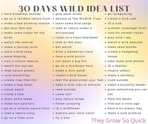 Wild Schooling, Spy Watch, Nature Hunt, Dandelion Clock, Star Watch, Animal Tracks, Forest School, Preschool At Home, Look At The Stars