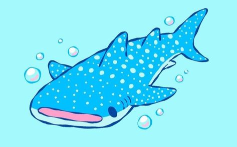 Shark Pfp Drawing, Whale Shark Drawing Reference, Cute Whale Painting, Whale Shark Simple Drawing, Cartoon Whale Shark, Whale Shark Art Cute, Whale Shark Drawing Cute, Whale Sharks Drawing, Blahaj Drawing