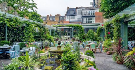 There only has to be the slightest hint of sunshine for Londoners to flock outside – which means nabbing an alfresco spot during the heatwave is no mean feat. Here’s our pick of the prettiest garden restaurants in London Ivy Chelsea Garden, The Ivy Chelsea, Courtyard Cafe, Outdoor Restaurants, London Country, Restaurant London, Greek Restaurant, Chelsea Garden, Restaurants In London