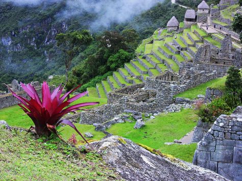 Peru - Machu Picchu Machu Picchu Peru, Unique Places, Machu Picchu, Beautiful Places To Visit, Pretty Places, Heaven On Earth, Places Around The World, Amazing Nature, Wonderful Places