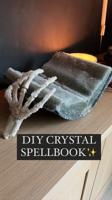 Magical Halloween Decorations, Borax Crystal Halloween, Borax Crystal Flowers, Borax Crystal Book Diy, How To Crystallize A Book, How To Crystallize Books, Diy Crystalized Book, Crystallized Book Diy, Borax Book