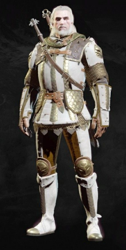 Legendary Grandmaster Griffin Armor All items dyed in White Griffin Armor, Witcher 3 Armor, Witcher Armor, White Armor, Warhammer Armies, King Alexander, Medieval Clothes, Warhammer Paint, Dnd Stuff