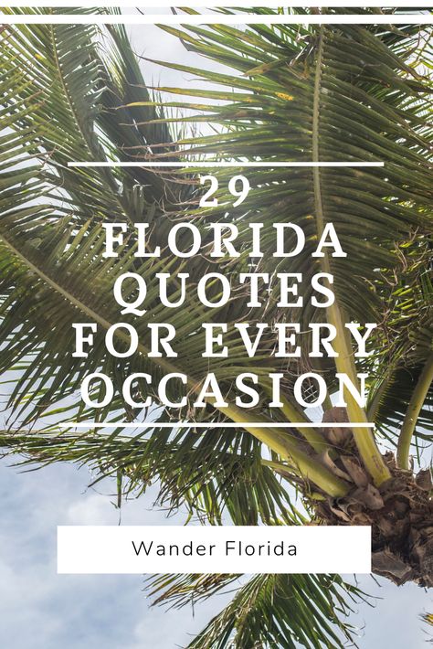 These Florida quotes are some of my favorites because they really encompass what Florida's about. Use them to dream about your Florida vacation or for an Instagram caption or just because you love quotes about Florida. All 29 are on the blog: https://www.wanderflorida.net/florida-quotes #floridaquotes #quotesaboutflorida #inspirationalquotes #quoteoftheday Florida Quotes, Home Advertising, Weather Quotes, Florida Weather, Vacation Quotes, Florida Lifestyle, Sunshine Quotes, Insta Quotes, Quotes About New Year