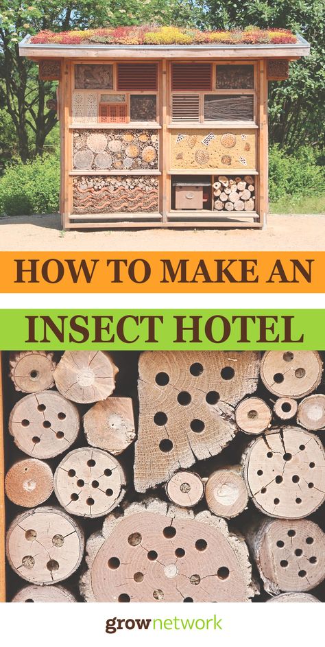 How To Keep Bees, Bee Hotels, Homestead Gardening, Medicine Herbs, Insect Hotel, Winter Project, Backyard Chickens, Urban Gardening, Chickens Backyard