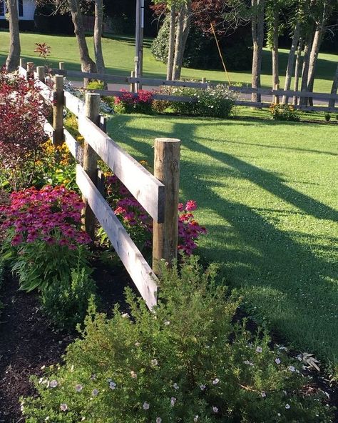 UsaDreamGarden on Instagram: “📬📬📬📨Direct Contact Me For Advertising Your Product Or Build Up Your Followers .⠀ . Summer day fence . . . . #garden #mygarden #gardening…” Fence By Driveway, Front Yard Fencing Ideas Curb Appeal, Front Yard And Driveway Ideas, Farm Curb Appeal, Front Yard Landscaping Country, Deck Across Front Of House, Wood Fence Landscape Ideas, Split Rail Fence Landscaping Front Yards, Country Home Landscaping Ideas